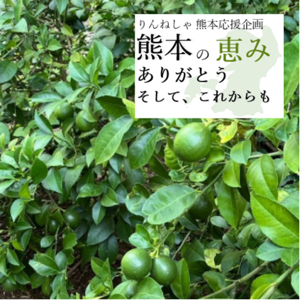 《予約販売》璃の香レモン2kg