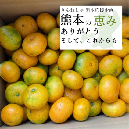 《予約販売》極早みかん 2kg