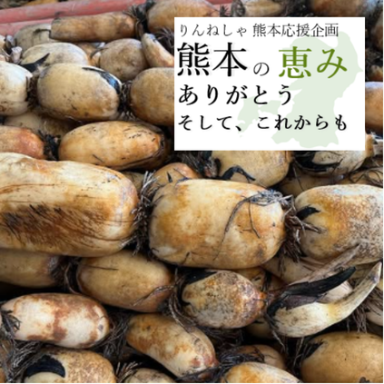 《予約販売》れんこん 2kg