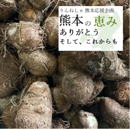 《予約販売》早生里芋 2kg