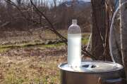 白樺樹液 500mlペットボトル入り