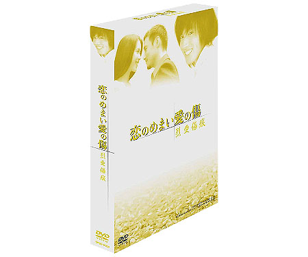 恋のめまい愛の傷～烈愛傷痕DVD－BOX （全3話+特典映像）