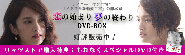 恋の始まり夢の終わりDVD