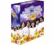 流星花園シリーズ