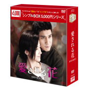 愛される花 DVD-BOX3（6枚組） ＜シンプルBOX 5,000円シリーズ＞ 【20%ポイント還元】