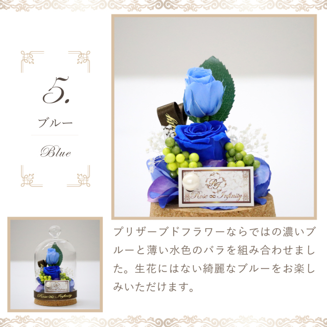 選べる5色・XS～L】コルクガラスドームS プリザーブドフラワー