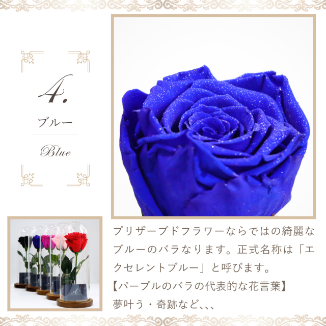 プリザーブドフラワー：ダイヤモンドローズ】1輪ガラスドーム