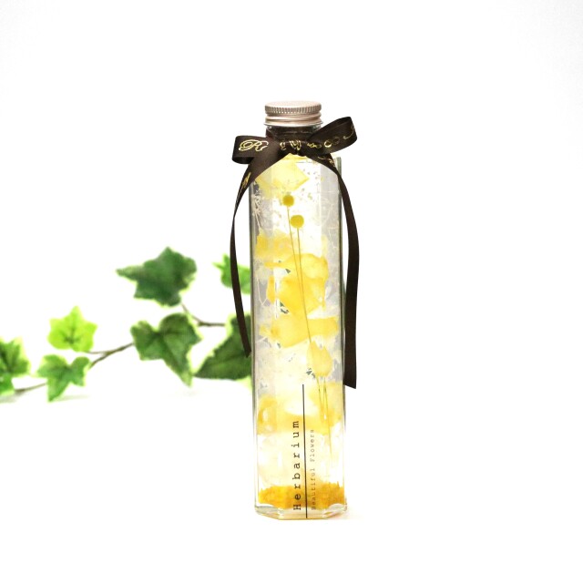 選べる7色・M～L】ハーバリウム 六角L