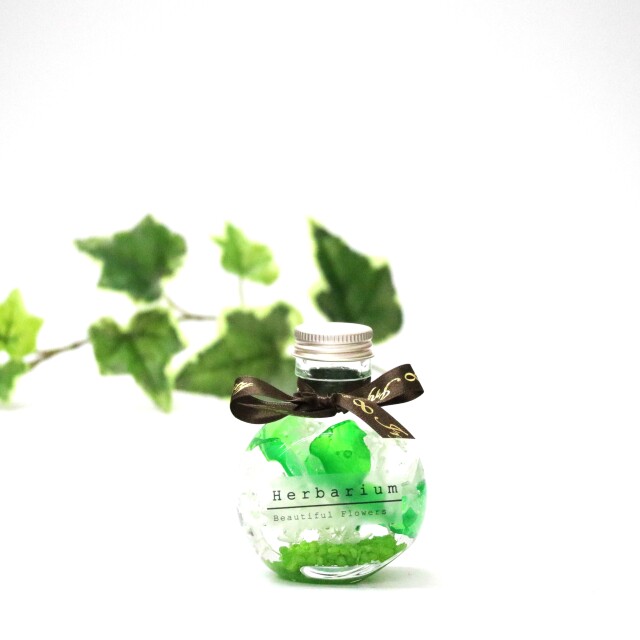 選べる7色】ハーバリウム コロンS