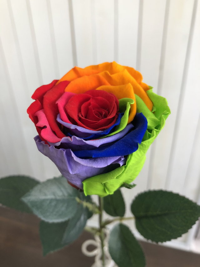 池袋　プリザーブドフラワー専門店　フラワーショップリズカ レインボーローズプリザーブドフラワー　花束ブーケ