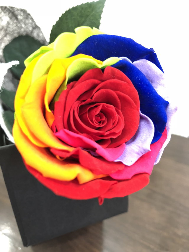 レインボープリザーブドフラワー 1本束 【茎付(アーティフィシャル