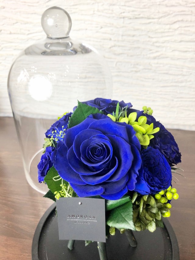 ADORABLE アドラブル L （エクセレントブルー）【AM-BA-BL-20-0001】