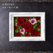 Rose ∞ Infinity おすすめ商品
