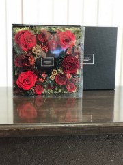 最高級バラアモローサ