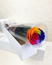プリザーブドフラワー専門店フラワーショップリズカ　プリザーブドフラワー　ダイヤモンドローズ1輪レインボーローズ