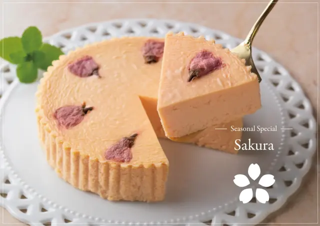 チーズケーキ さくら