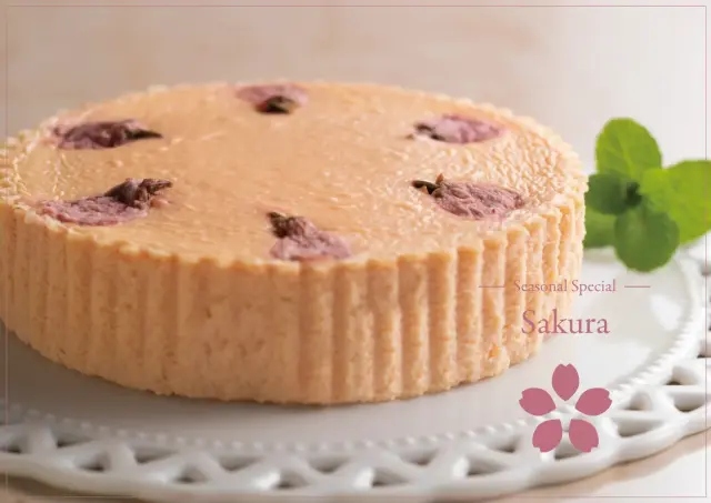 チーズケーキ さくら
