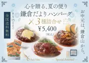 鎌倉だよりハンバーグステーキ 3種詰合せ 全国送料無料