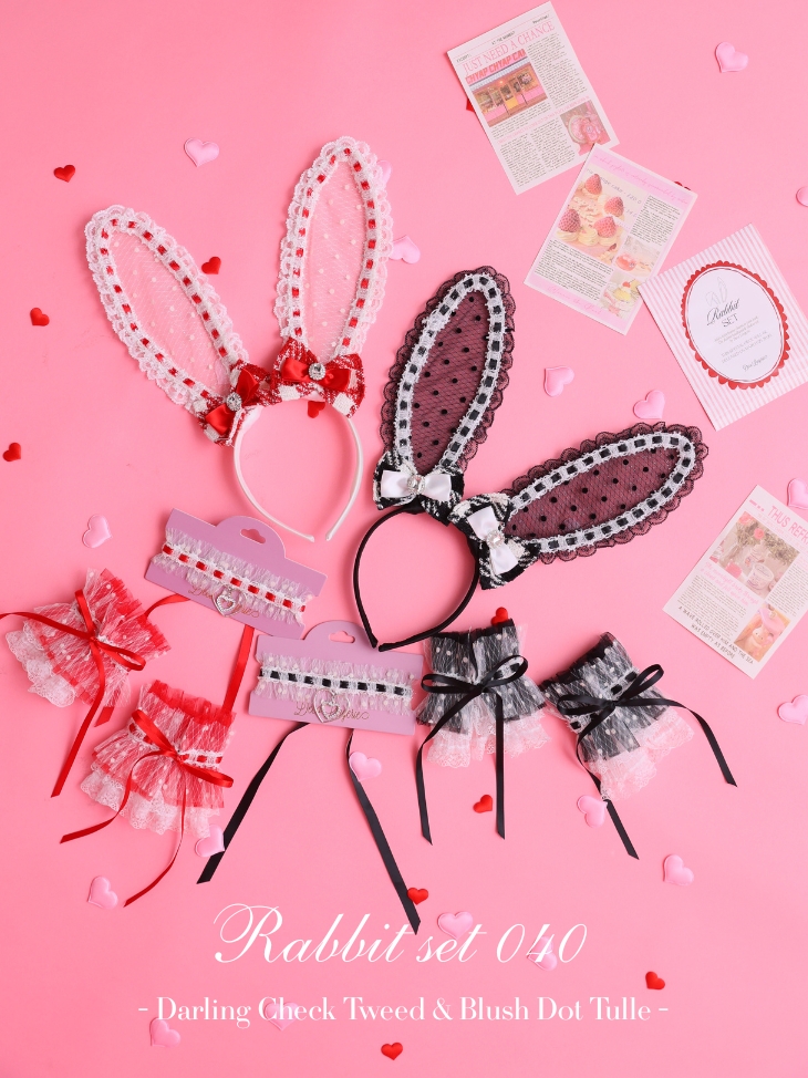 ★予約商品★【4月下旬頃入荷予定】Deco Lingerie RS040 (DLRS040)