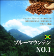 ブルーマウンテン　NO.1 【生豆】