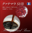 グァテマラ　SHB 【生豆】
