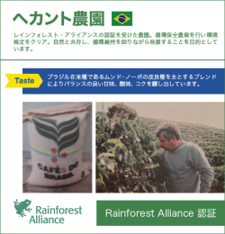 宅配コーヒーポットセット　8本