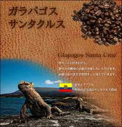ガラパゴスサンタクルス