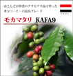 モカマタリ　KAFA9 【生豆】