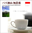 バリ神山　無農薬 【生豆】