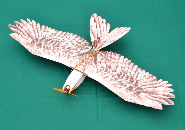 DW Hobby E19 Eagle Ⅱ モーター・アンプ・サーボ付 DW Hobby Eagle Ⅱ モーター・アンプ・サーボ付