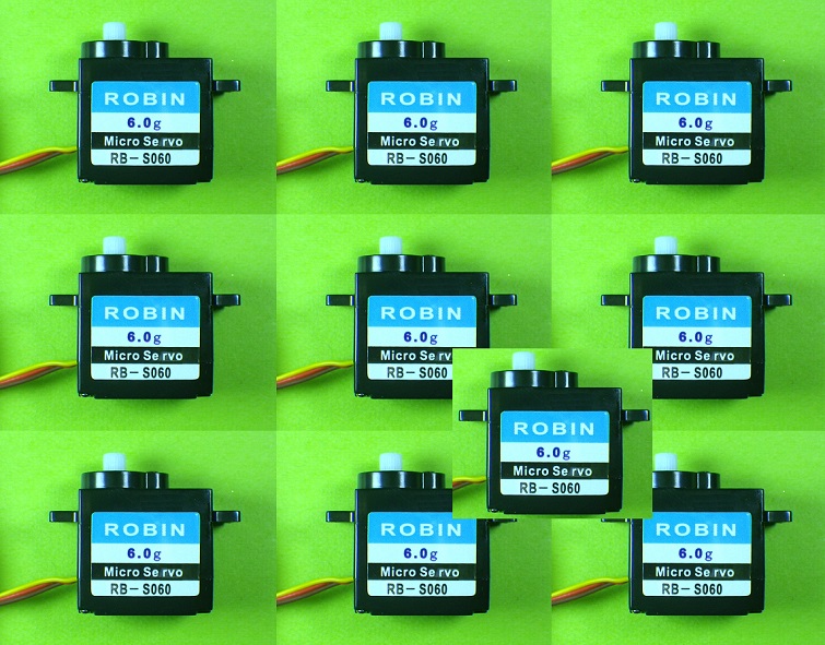 ROBIN 6.0g RB-S060 １０個