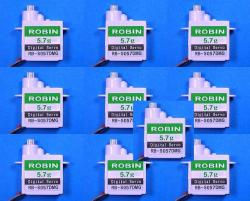 ROBIN 5.7g RB-S057DMG メタル・デジタル １０個