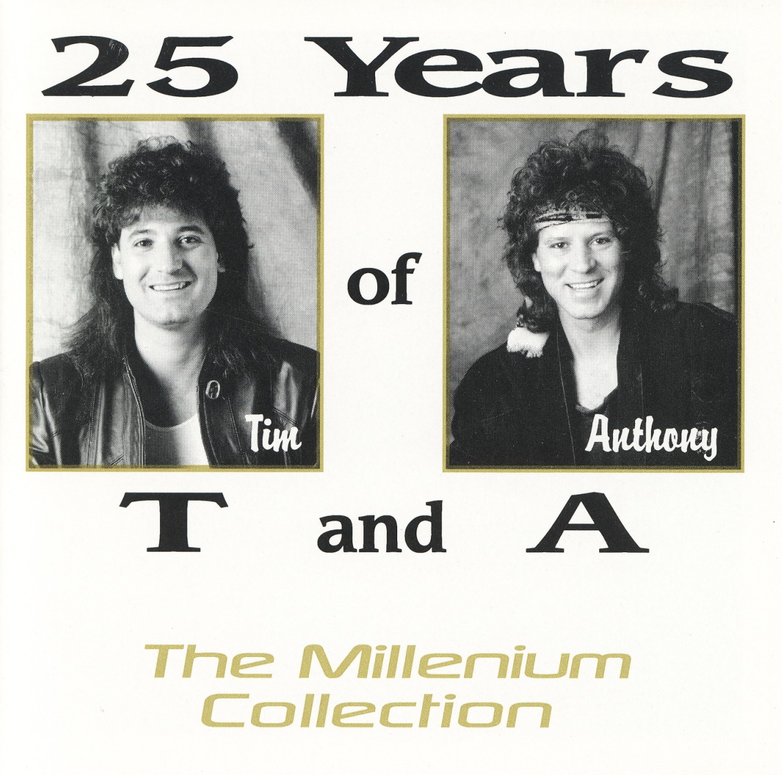 T & A (THE HEAT)/25 YEARS OF T AND A - THE MILLENIUM COLLECTION