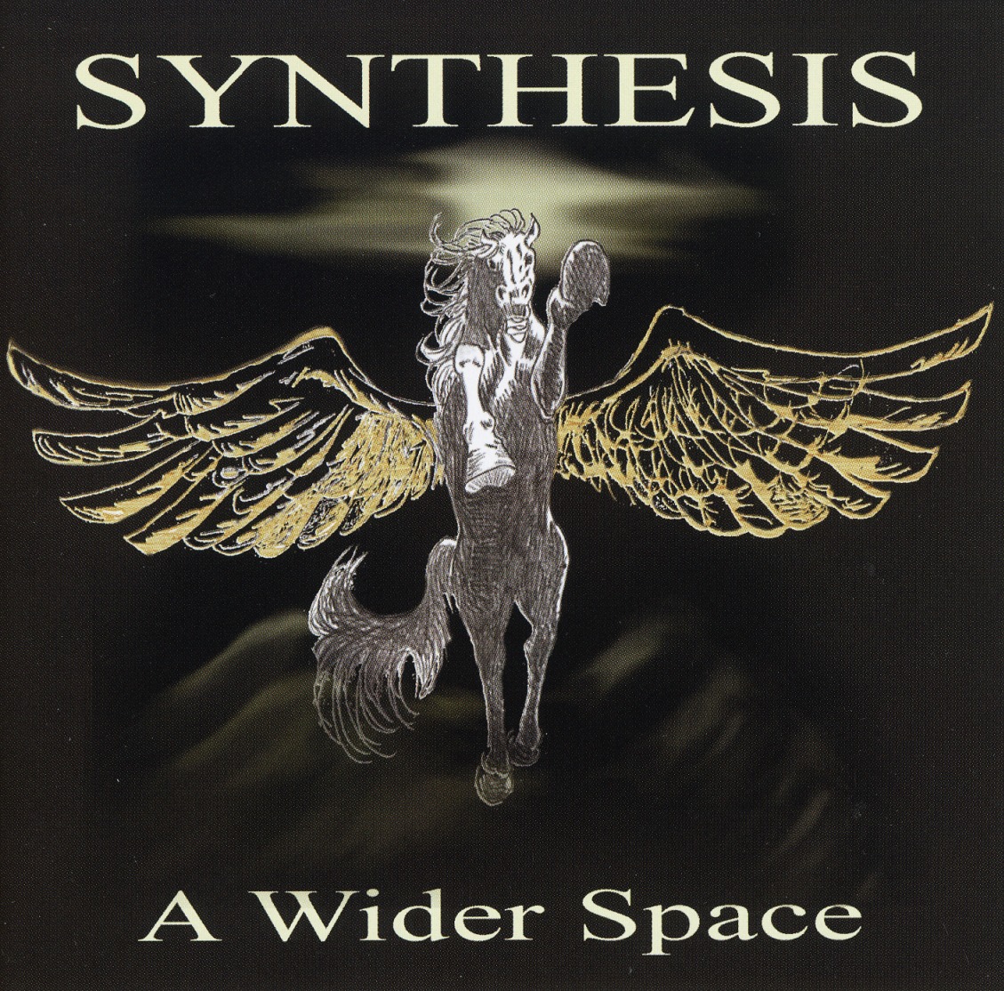 SYNTHESIS (Italy) / A Wider Space