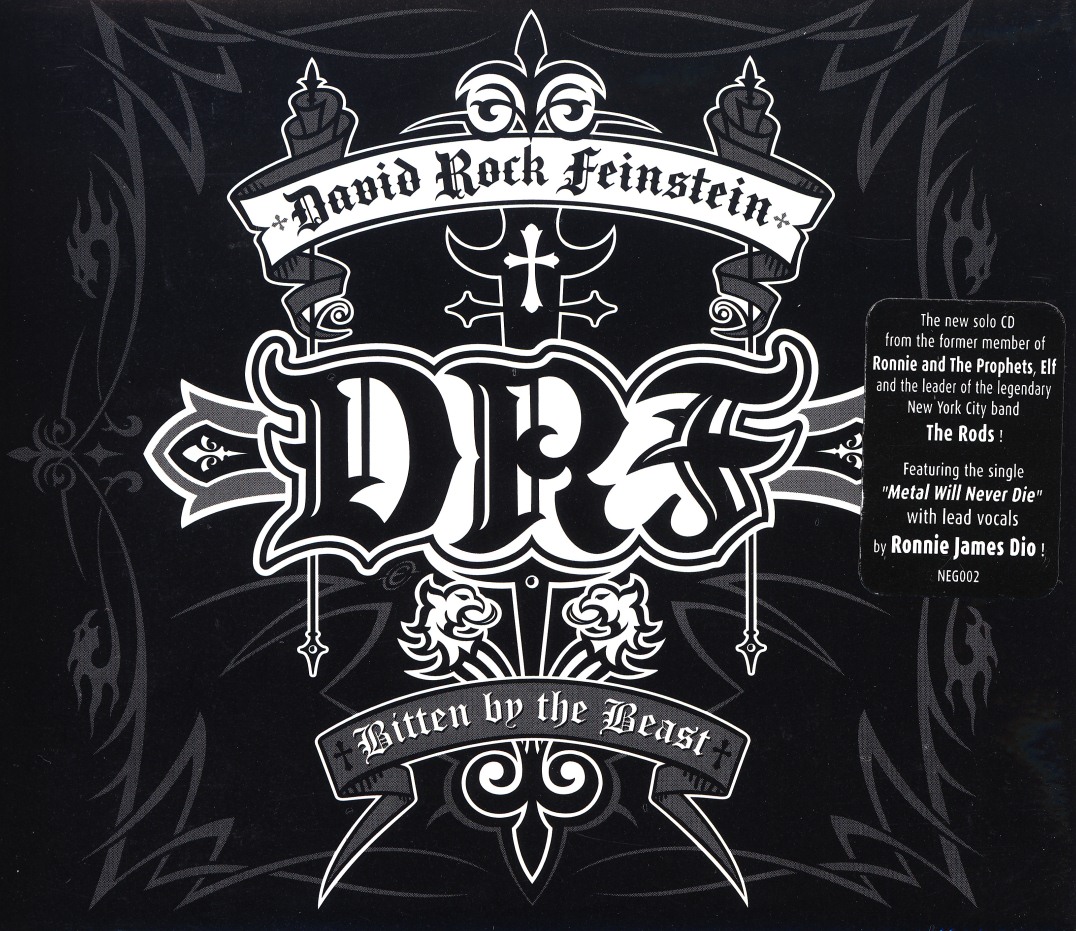 DAVID ROCK FEINSTEIN (US) / Bitten By The Beast