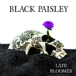 BLACK PAISLEY (Sweden) / Late Bloomer