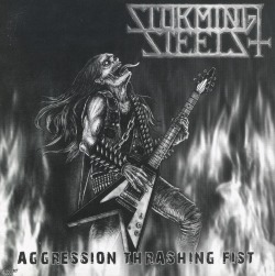 STORMING STEELS (Malaysia) / Aggression Thrashing Fist
