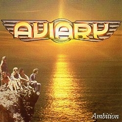 AVIARY (US) / Ambition