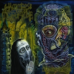 HAMMERS OF MISFORTUNE (US) / Dead Revolution