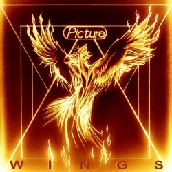 PICTURE (Netherlands) / Wings