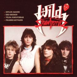 WILD STRAWBERRIES (Bosnia and Herzegovina) / Wild Strawberries