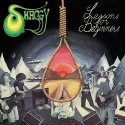 SHAGGY (Sweden) / Lessons For Beginners + 4