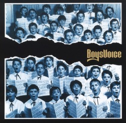 BOYSVOICE (Germany) / Boysvoice (collector's item)