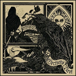 TAROT (Australia) / Reflections