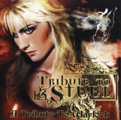 V.A. / Tribute To Steel - A Tribute To Warlock