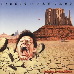 TYGERS OF PAN TANG (UK) / Burning In The Shade (2021 reissue)