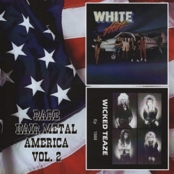 V.A. / Rare Hair Metal America Vol. 2 (collector's item)