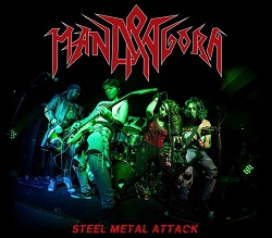 MANDRAGORA (Peru) / Steel Metal Attack (with Pin)