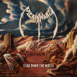 MERSINARY (US) / Tear Down The Walls (2CD)