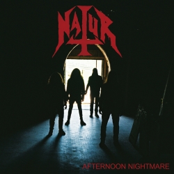 NATUR (US) / Afternoon Nightmare